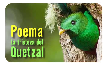 La Tristeza del Quetzal.
