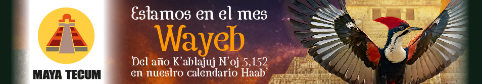 Maya Tecum. Calendario Maya y cosmovisión ancestral. Cholq'ij, Haab, A'b